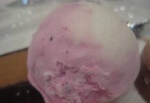 Yogur helado con arándanos