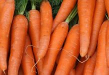 Croquetas de Zanahorias