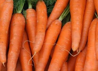 Croquetas de Zanahorias