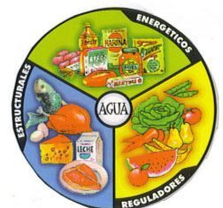 Los Nutrientes Básicos