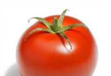 Receta de mermelada de tomate mermelada de tomate