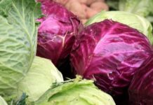 Alimentos diuréticos