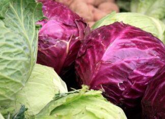 Alimentos diuréticos