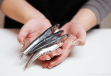 Consejos para Limpiar el Pescado Fresco limpiar pescado