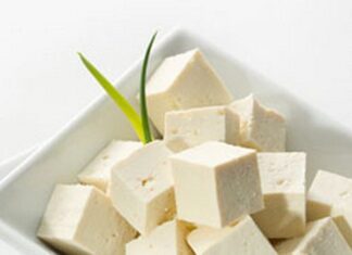 ¿Qué es el tofú?