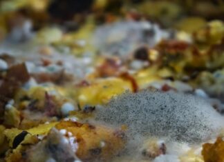 Cómo evitar intoxicaciones alimentarias