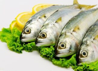 Metales pesados en los pescados y mariscos