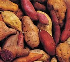 Receta de camote en miel