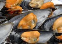 Mejillones al vapor