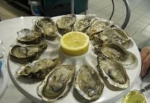 Ostras apanadas
