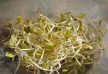 Reto Recetas Sanas: Como Hacer Nuestros Propios Brotes