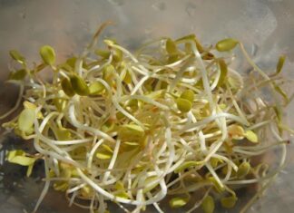 Reto Recetas Sanas: Como Hacer Nuestros Propios Brotes