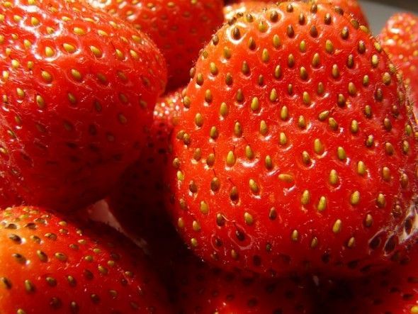 strawberries-58195_640
