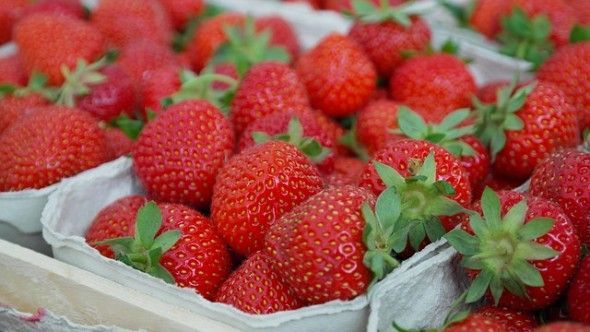 strawberries-823782_640