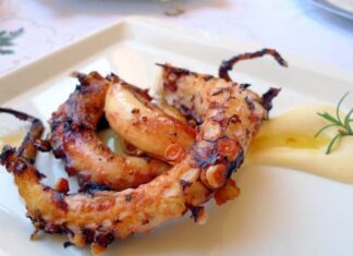 Diferentes Recetas de PULPO