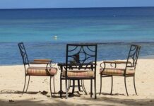 Consejos para Preparar Comida para la Playa Consejos para Preparar Comida para la Playa