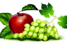 Consejos para una Alimentación Sana en Verano Consejos para una Alimentación Sana en Verano