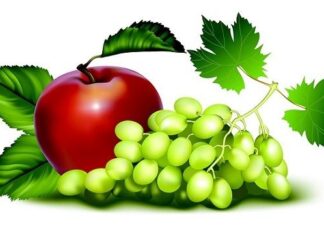 Consejos para una Alimentación Sana en Verano Consejos para una Alimentación Sana en Verano