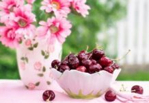Frutas del Verano para Preparar Batidos Frutas del Verano para Preparar Batidos