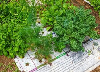 5 consejos para cocinar mejor