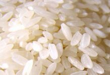 Cómo preparar ARROZ BOMBA y recetas que lo incorporen Cómo preparar ARROZ BOMBA y recetas que lo incorporen