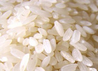 Cómo preparar ARROZ BOMBA y recetas que lo incorporen Cómo preparar ARROZ BOMBA y recetas que lo incorporen