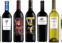 Todo sobre el vino Marqués de Cáceres Vinos Marqués de Cáceres