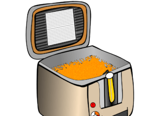 ¿Merecen la pena las freidoras sin aceite? freidora sin aceite