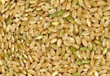 Arroz yamani y sus secretos: como lograr una cocción perfecta