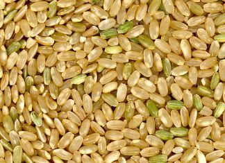 Arroz yamani y sus secretos: como lograr una cocción perfecta